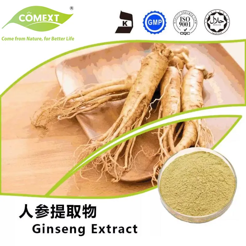 Panax Ginseng Extract Product