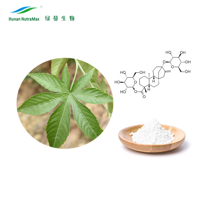 Factory Supply Sweet Tea Extract 70%~85% Rubusoside Herbal Extract