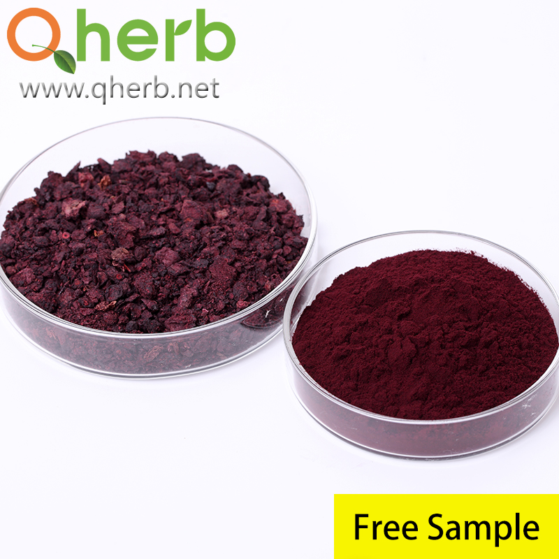 Anti-Oxidation Herbal Extract Cosmetic Ingredient 100% Natural Anthocyanins Powder Bilberry Extract