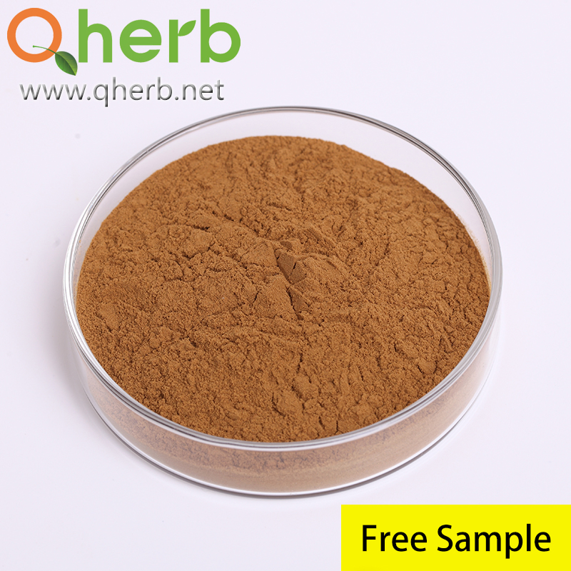 Pueraria Lobata Extract 40% Isoflavones Puerarin HPLC Plant Extract Powder