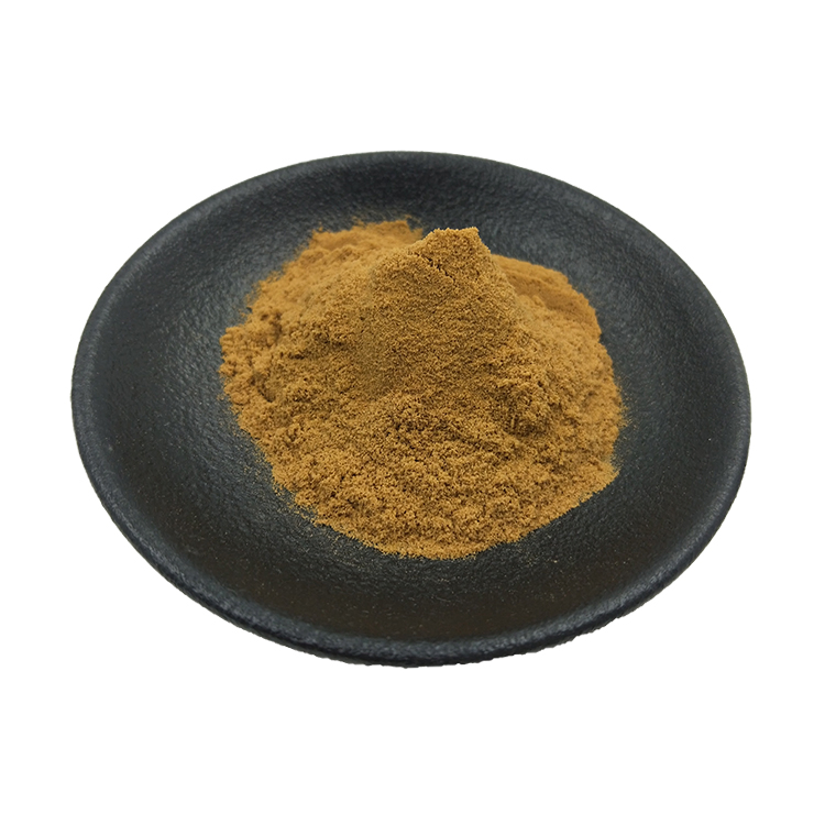 Pure Plant Extract Powder Fenugreek Saponin 50% Organic Fenugreek Seeds Extract