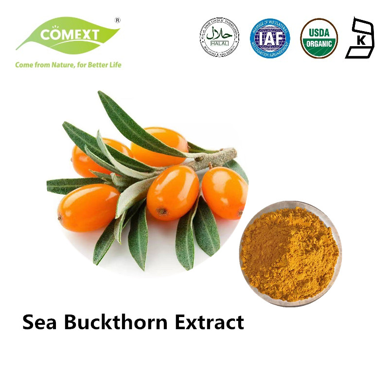 Comext Food Grade Sea Buckthorn Powder Plant Extract 40% Flavonoids