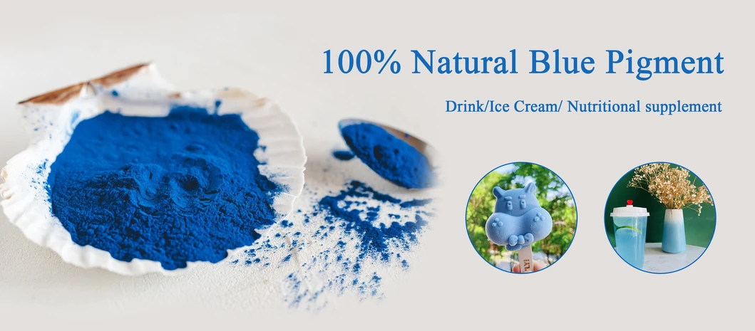 Natural Pigment Spirulina Extract Phycocyanin Powder
