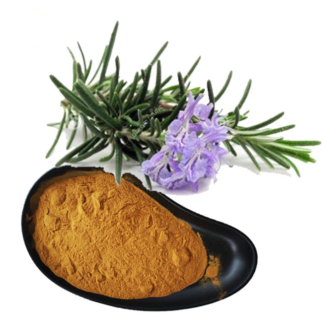 High Purity Plant Exract Herbal Extract Carnosic Acid Organic Rosemary Extract Powder