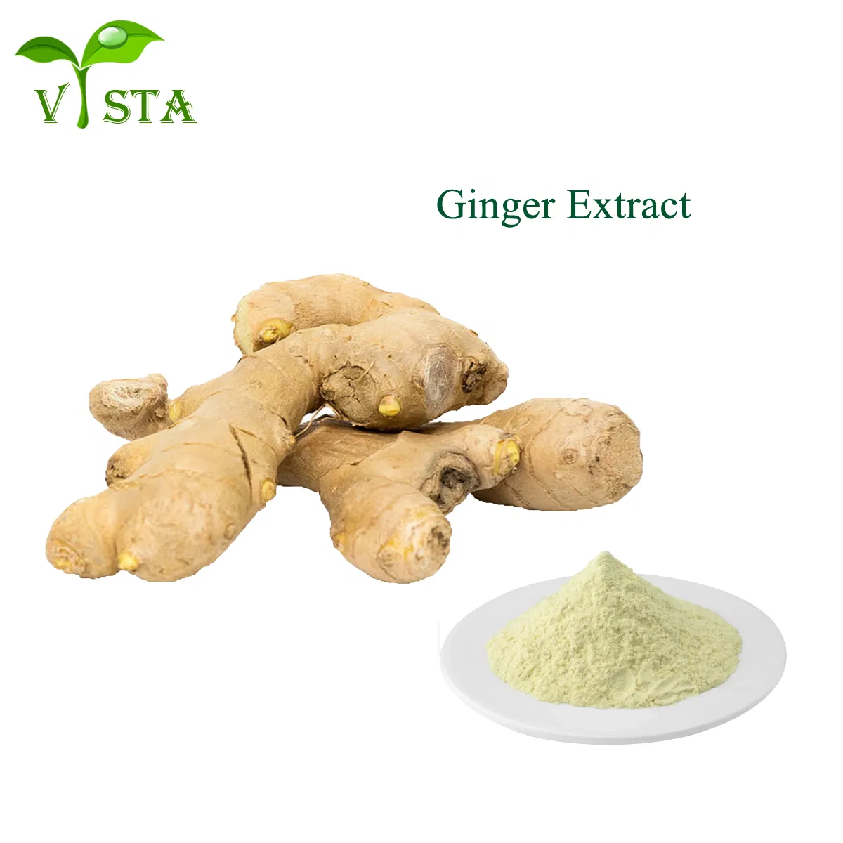 Factory Supply Plant Extract Ginger Root Extract Gingerol Powder 5% CAS No. 23513-14-6