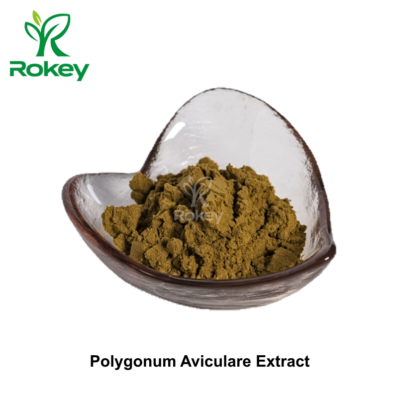 High-Purity Knotweed Standardized Supplement Polygonum Aviculare Extract Powder