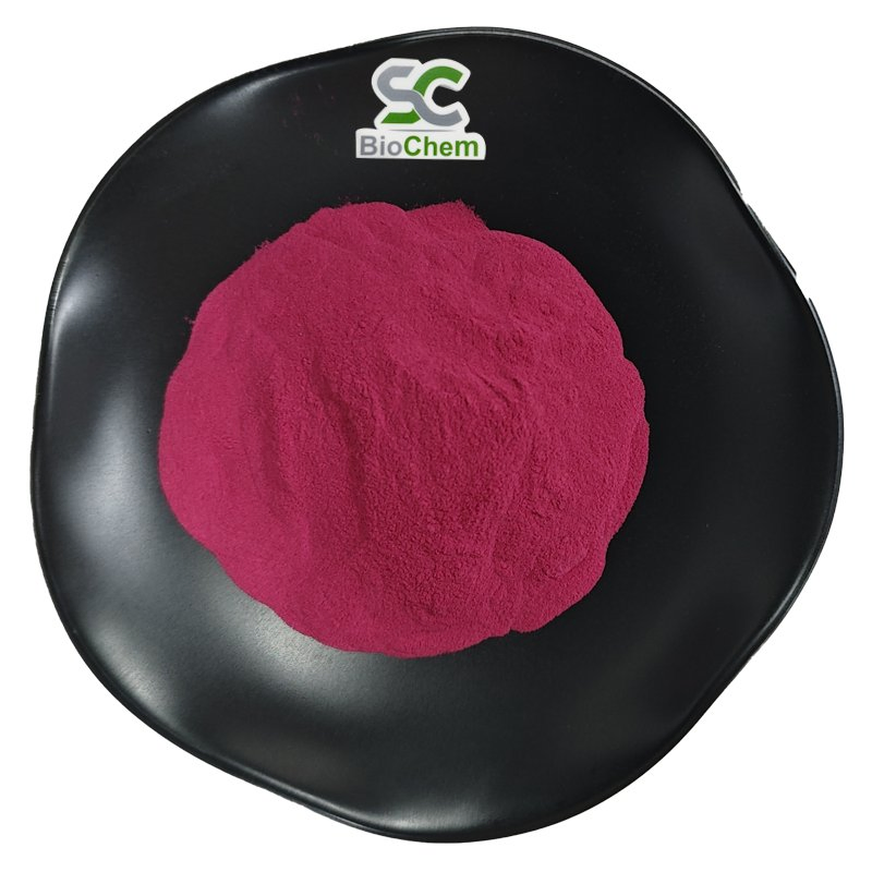 Plant Extract Powder Beet Root Extract Organic Beet Root Extract 10: 1