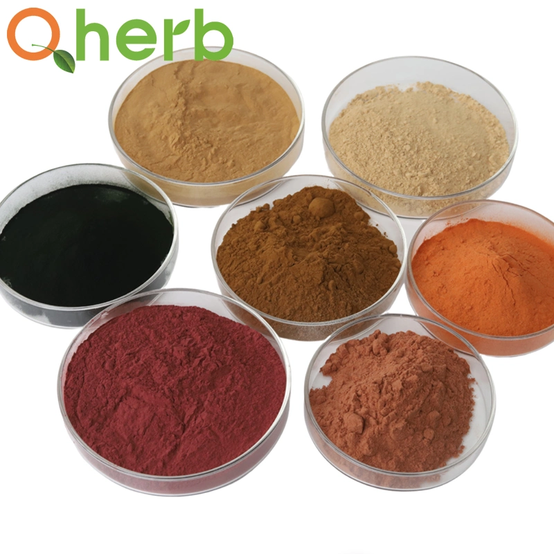 100% Natural Chinese Thorowax Bupleurum Falcatum Sinensis Root Extract Traditional