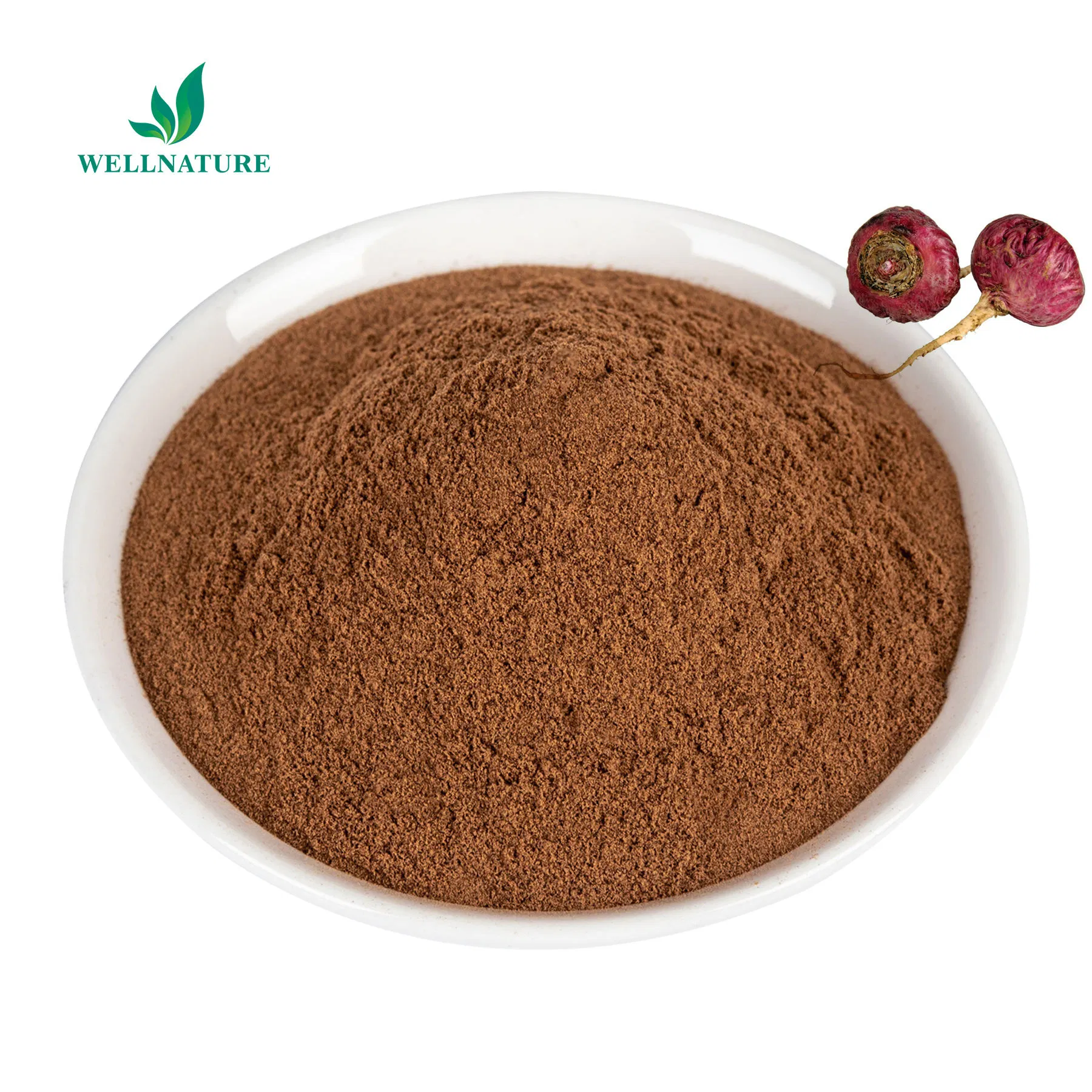 Standardized Bulk Maca Extract 10: 1 for Food and Supplement Manufacturer (Maca Root Powder Extract)