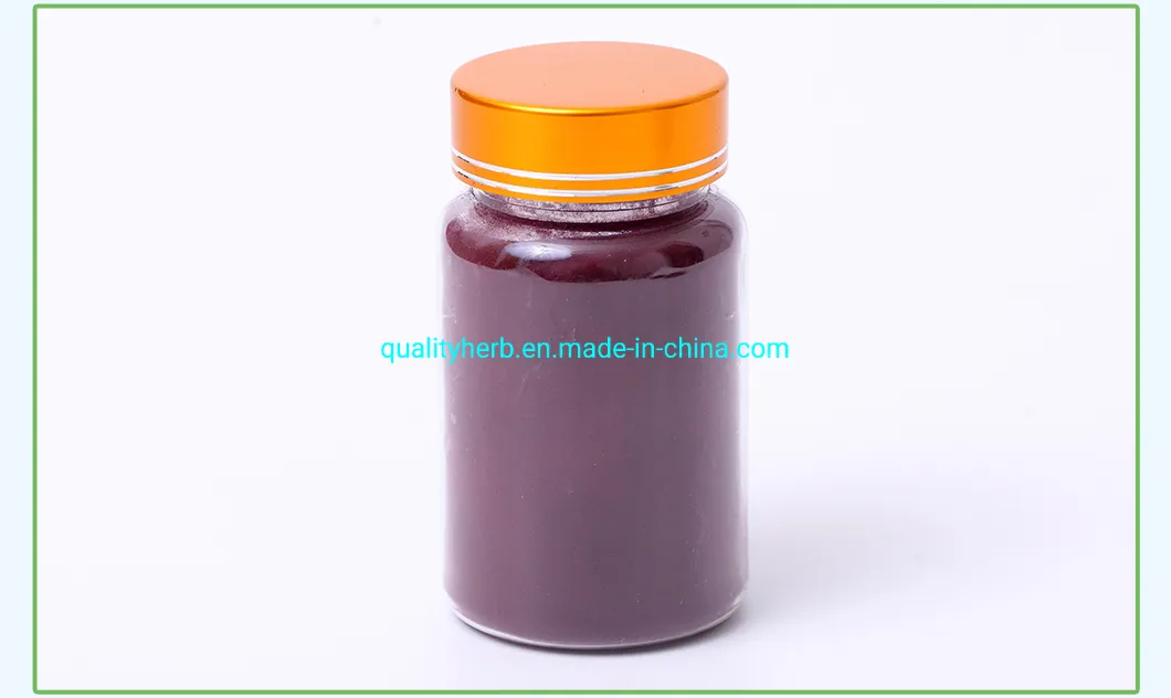 Bilberry Extract Image 6