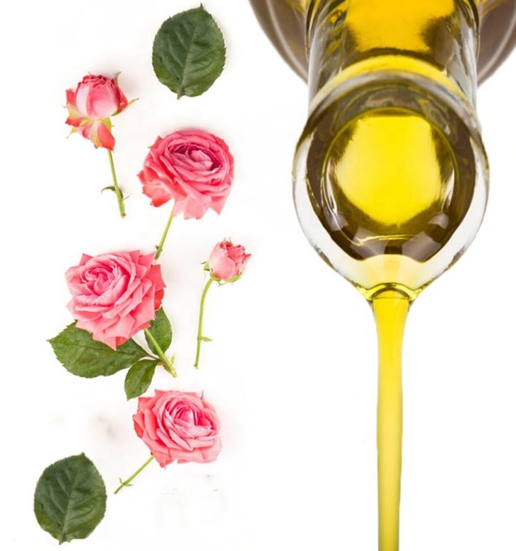 Rose Essential Oil Safe Herbal Plant Oil for Skin Care Aromatherapy