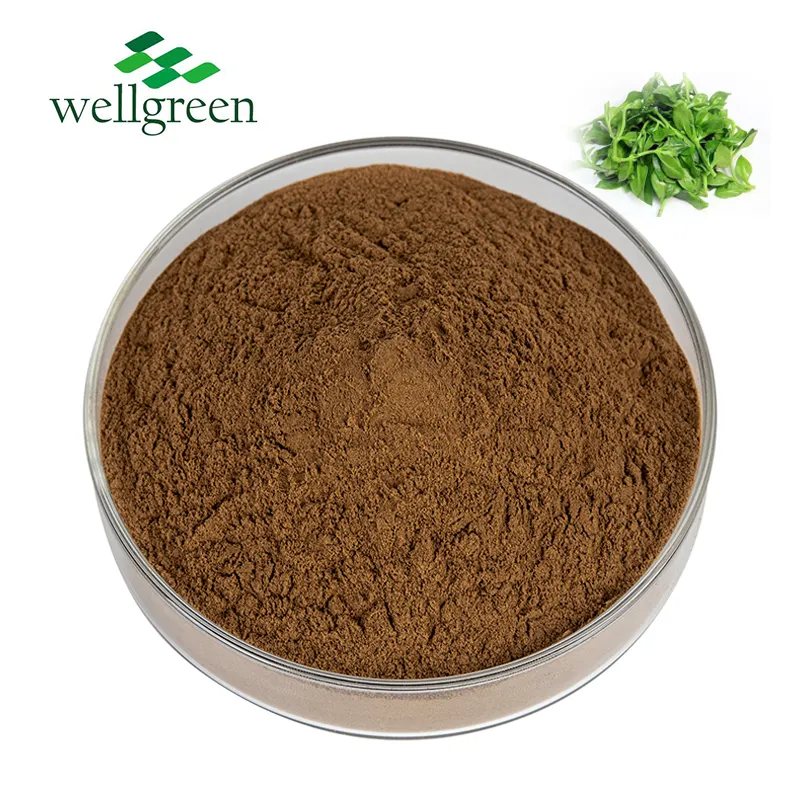 Andrographis Paniculata Extract Powder