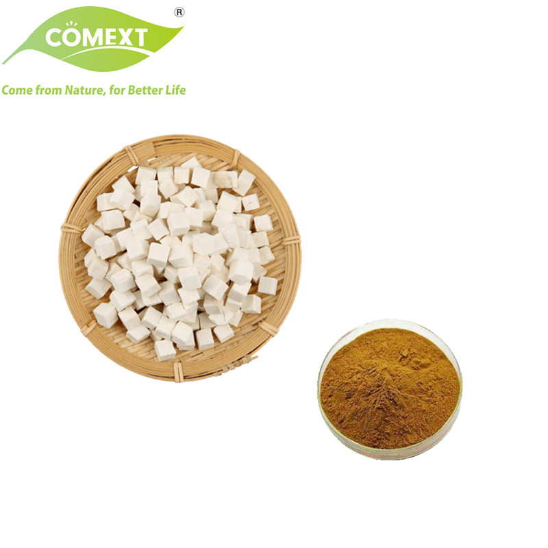 Comext 100% Matural Traditional Chinese Medicinal Poria Cocos Good Quality Herbal Radix Poria Cocos Extract