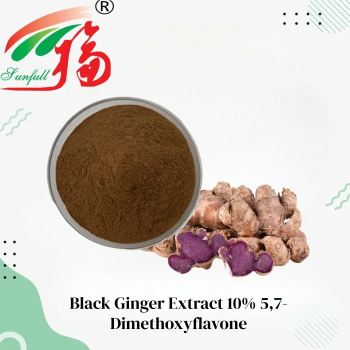 Standardized Black Ginger Extract