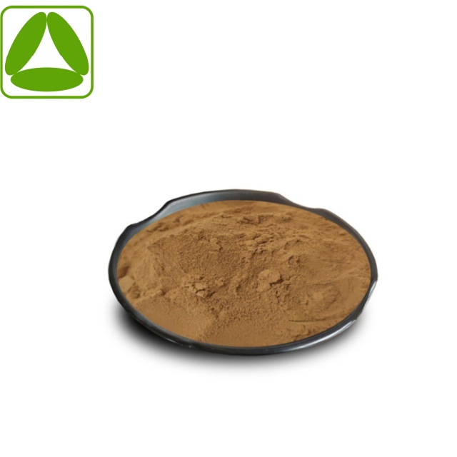 Organic Herbal Nettle Root Extract for Immune System Boost