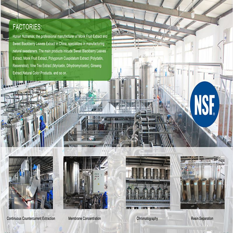 S-Allylcysteine 0.1% Fermented Black Garlic Extract with Herbal Extract