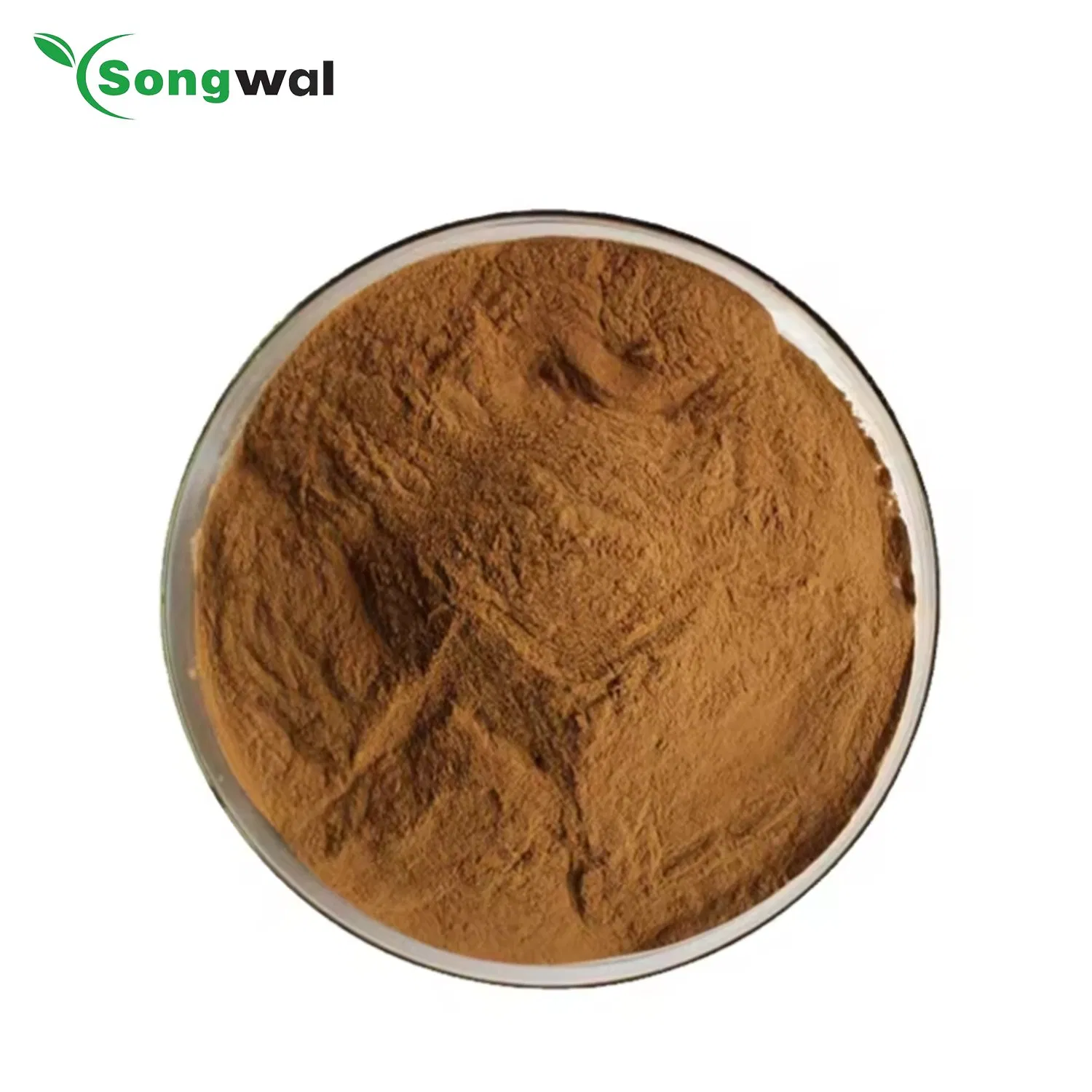 CE Food Additives Manufacturer High Quality 10: 1 Thyme Leaf Thymus Extract Powder
