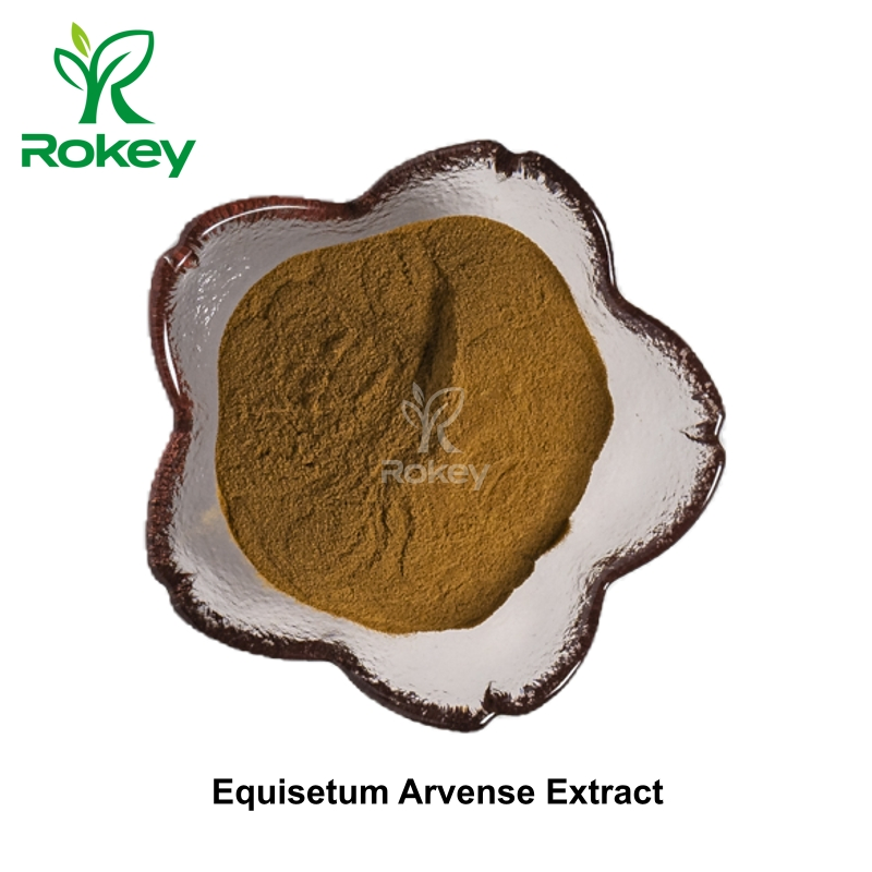 Premium Herbal Support for Hair, Skin &amp; Nails Equisetum Arvense Extract Powder