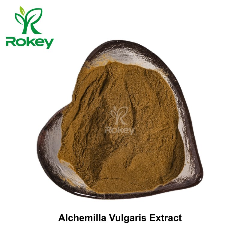 Potent Herbal Support for Skin &amp; Wellness Alchemilla Vulgaris Extract Powder