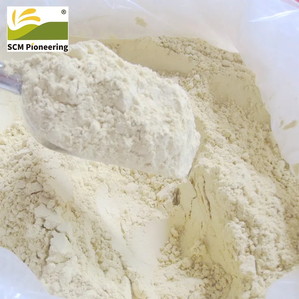 The Factory Supplies Natural Ginger Extract at The Best Price