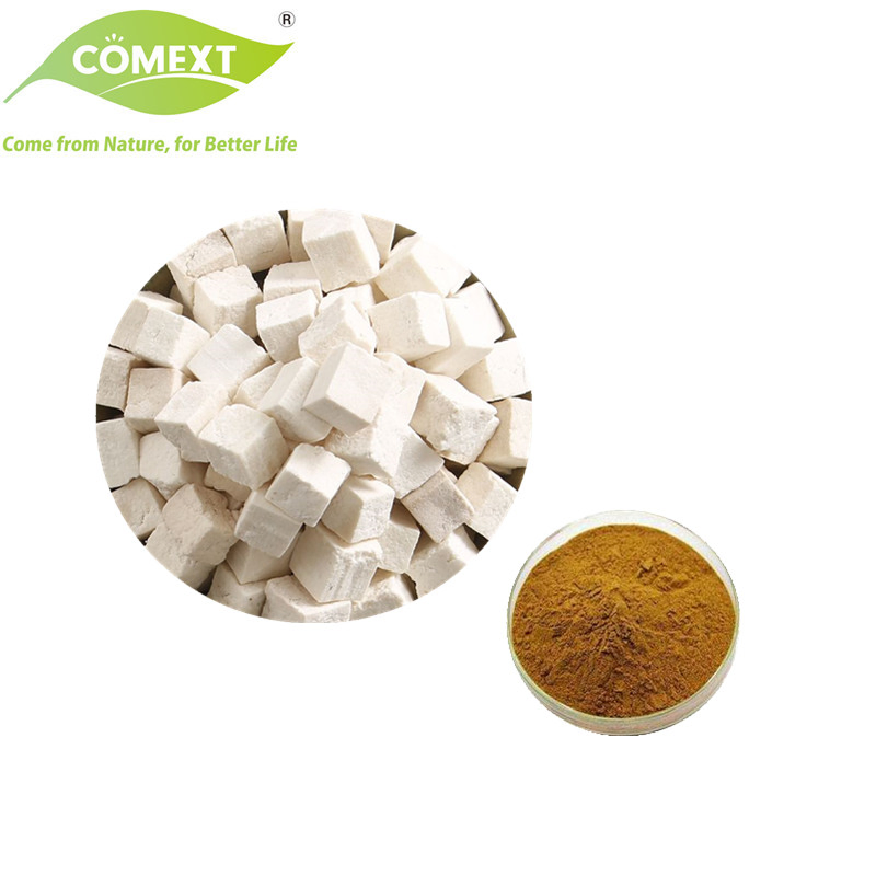 Comext 100% Matural Traditional Chinese Medicinal Poria Cocos Good Quality Herbal Radix Poria Cocos Extract