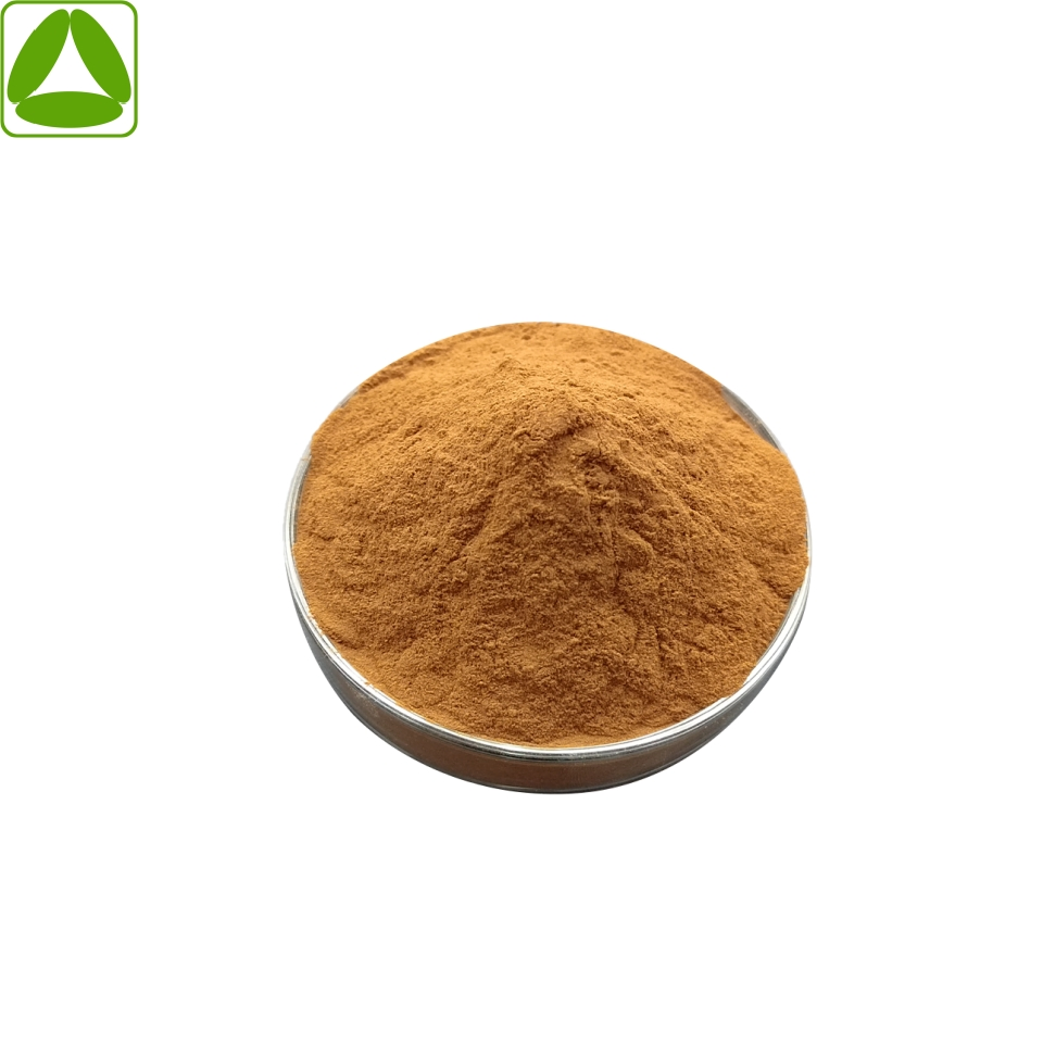 Chinese Traditional Herb Isatis Root Powder Isatis Root Extract Powder