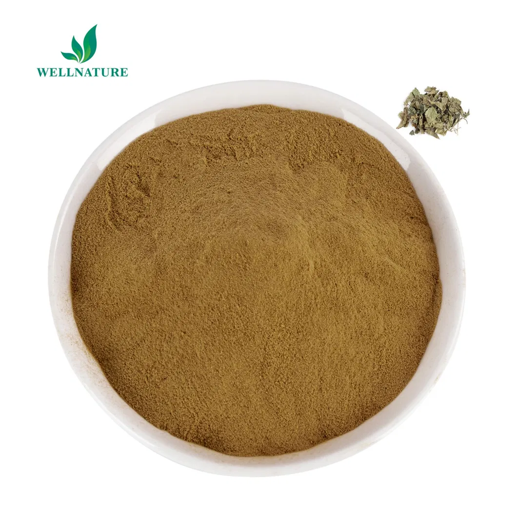Mulberry Leaf Extract Product