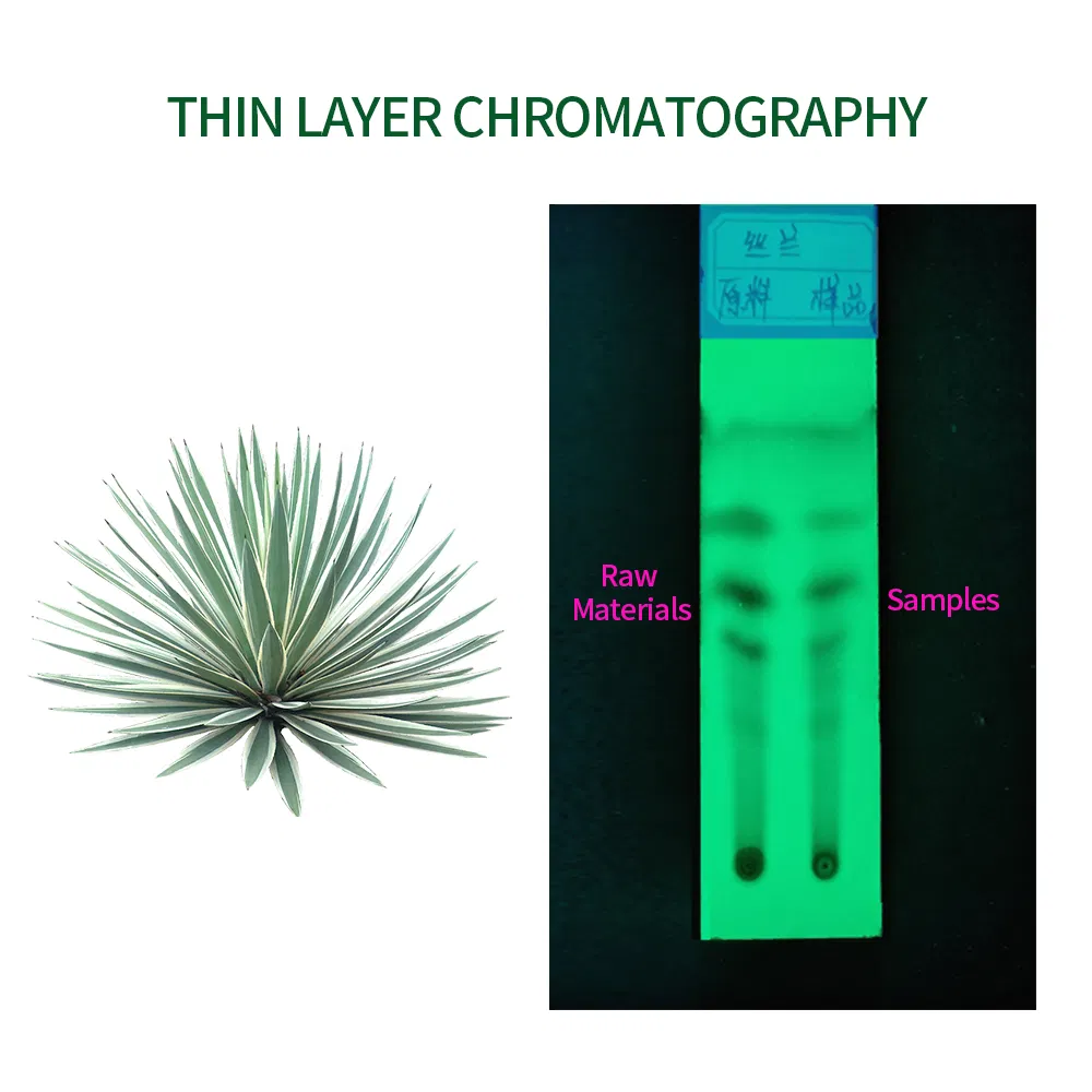 Yucca Liquid Product