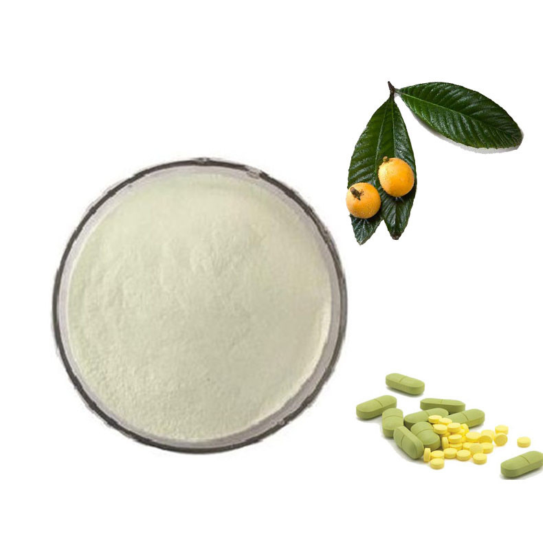 Ursolic Acid Natural Herb Loquat Extract Fruit Extract Powder