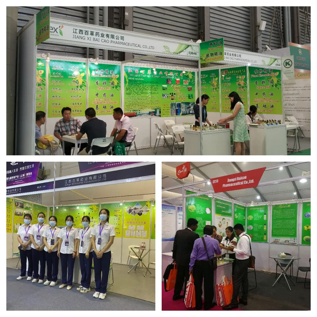 Pharmaceutic Use Chrysanthemum Extract Chamomile Powder Herbal Extract Medicine and Cosmetics Use