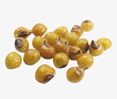 Sapindus Mukorossi Gaertn Soapberry Fruit Extract Powder Foaming Agent Soap Nut Extract