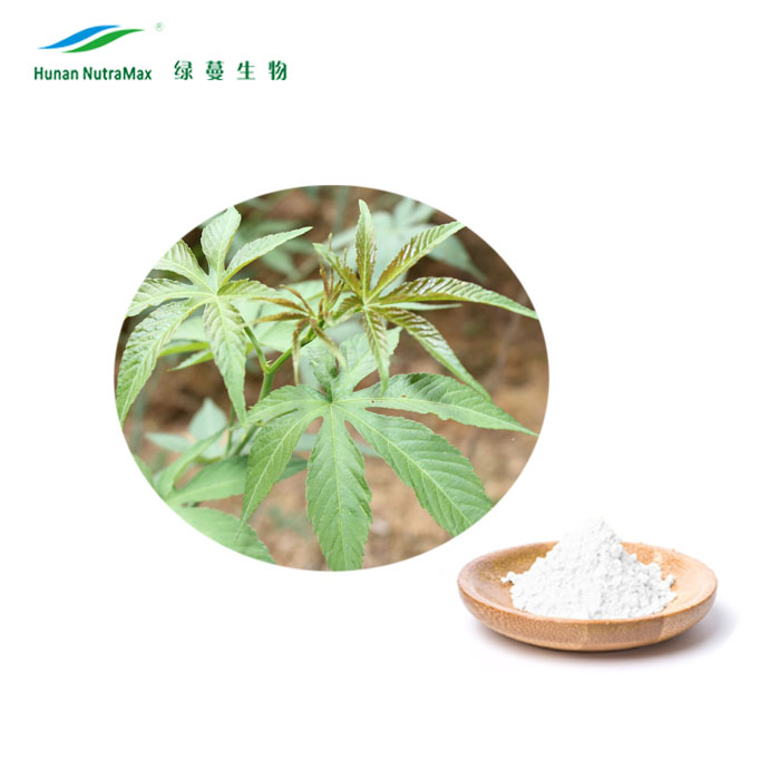 Factory Supply Sweet Tea Extract 70%~85% Rubusoside Herbal Extract