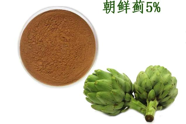 Artichoke Extract Powder with Cynarin 100% Natural Artichoke Leaf Extract Powder 2.5%~5% Cynarin Artichoke Extract Powder