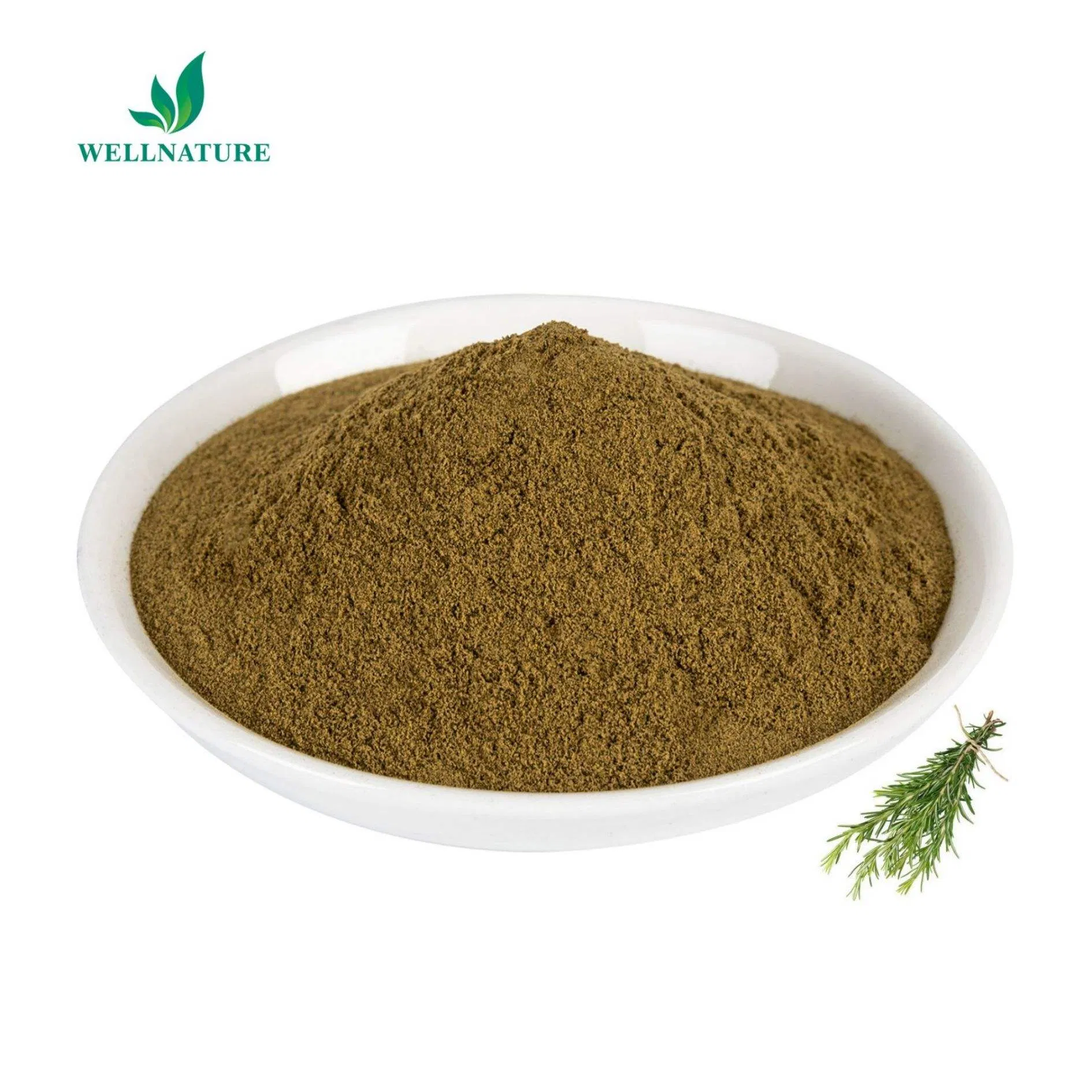 Natural Antioxidant Rosemary Leaf Extract for Food Preservation and Oil Stability with ISO22000