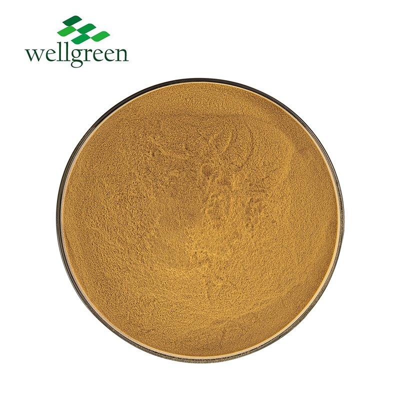 Bulk Sale Herbal Meadowsweet Extract 10: 1 20: 1 Spiraea Salicifolia Extract