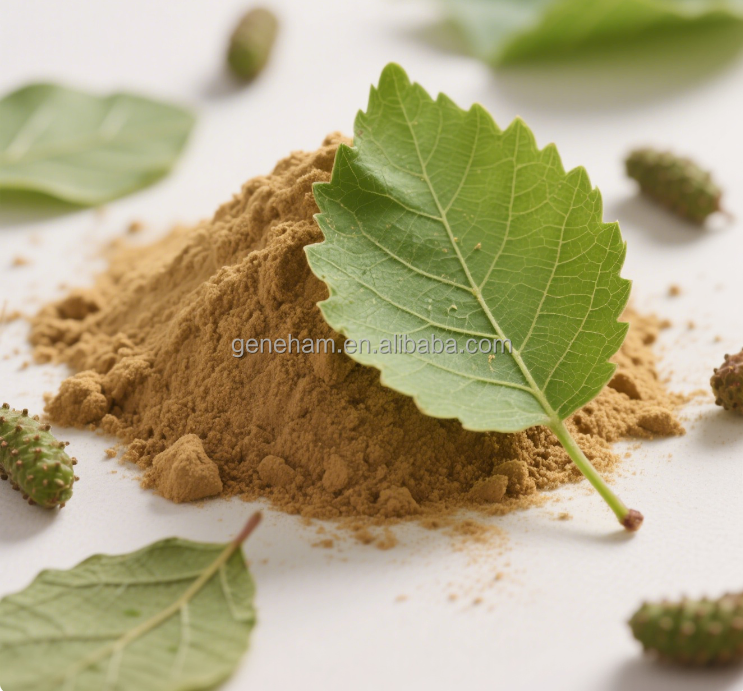 Mulberry Leaf Herbal Extract Powder 2% 1-Deoxynojirimycin Food Grade Natural Plant Supplement