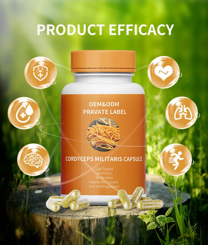Cordyceps Extract Capsules 2