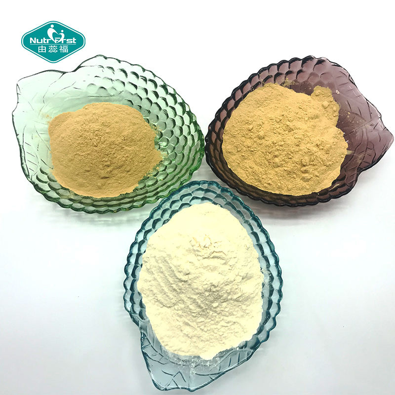 Healthcare Herb Extract Plant Ginsenoside Bulk Panax Ginseng Root Extract Powder