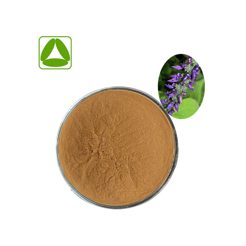 Factory Supply Coleus Forskohlii Extract Powder Coleus Barbatus Extract Standardized Forskolin Bioactive OEM ODM CAS 66575-29-9 Manufacturer