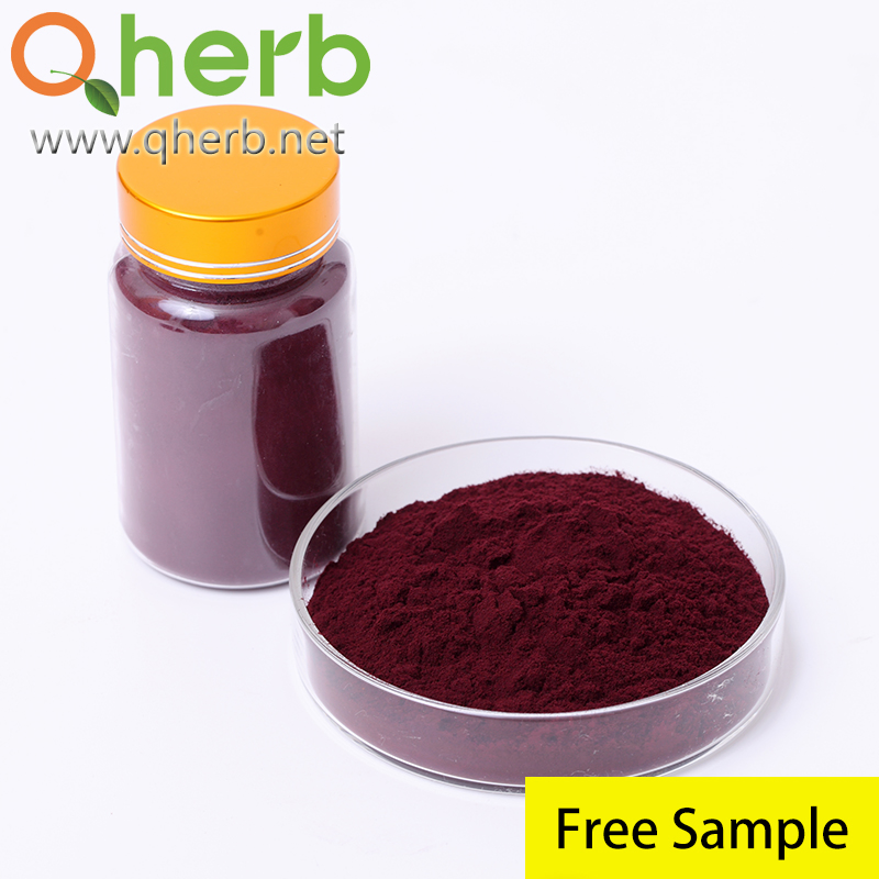 Anti-Oxidation Herbal Extract Cosmetic Ingredient 100% Natural Anthocyanins Powder Bilberry Extract