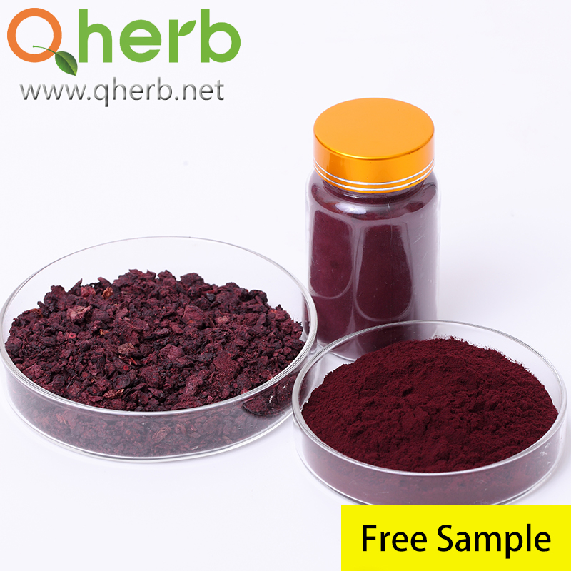 Anti-Oxidation Herbal Extract Cosmetic Ingredient 100% Natural Anthocyanins Powder Bilberry Extract