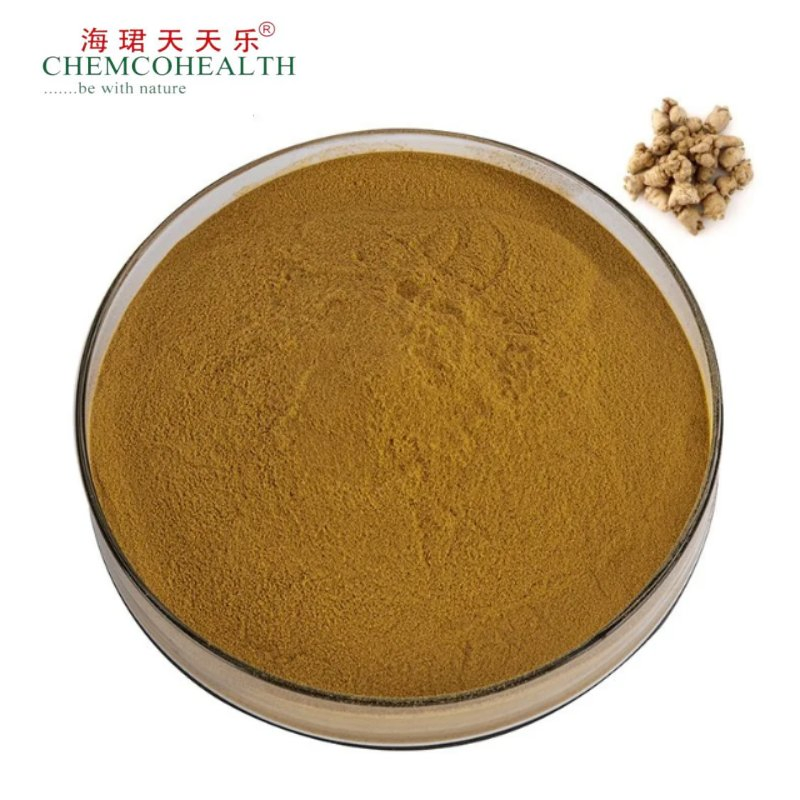 Notoginsenosides 1%-40%HPLC Notoginseng Root Extract