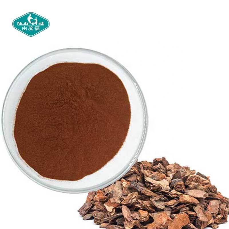 Chinese Supplier Plant Extracts OPC 95% Proanthocyanidins Raw Material Bulk Pine Bark Extract Powder