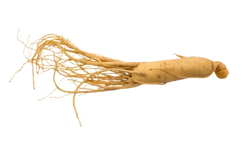 Ginseng Extract Powder