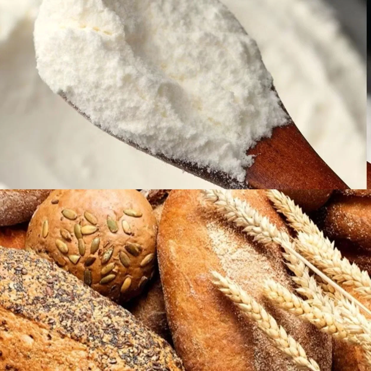 HS Code 29389090 Raw Material Stevia Leaf Extract Powder Pure Natural Stevia Sugar