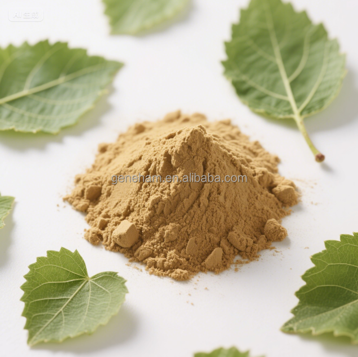 Mulberry Leaf Herbal Extract Powder 2% 1-Deoxynojirimycin Food Grade Natural Plant Supplement