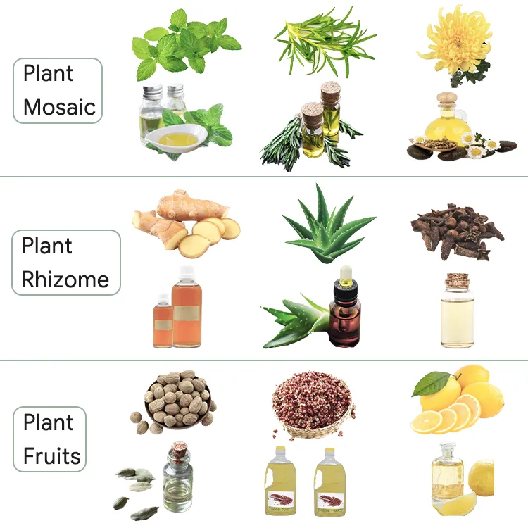 Steam Heating Concentrator
