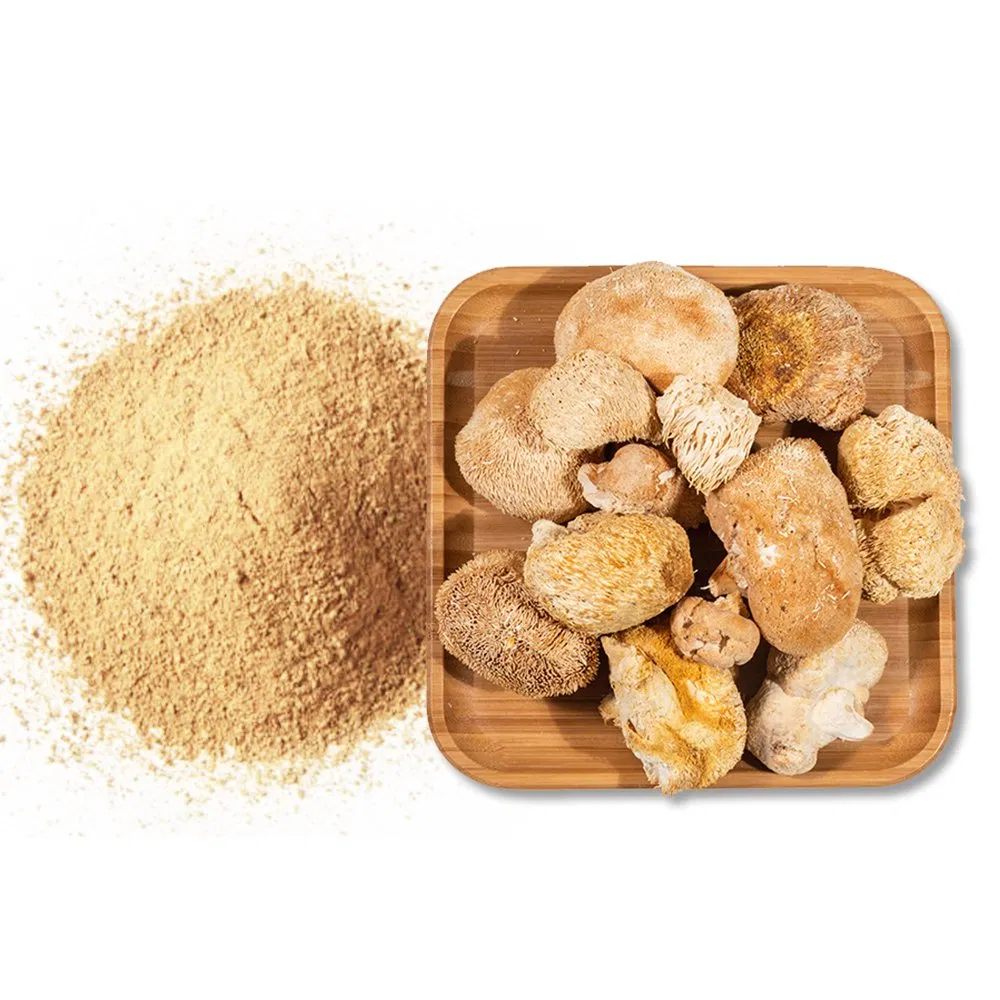 Natural Hericium Erinaceus Extract Powder Premium Grade
