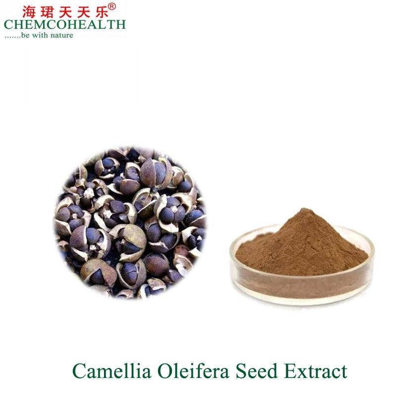 Natural Herbal Camellia Seed Extract High Content of Tea Saponin
