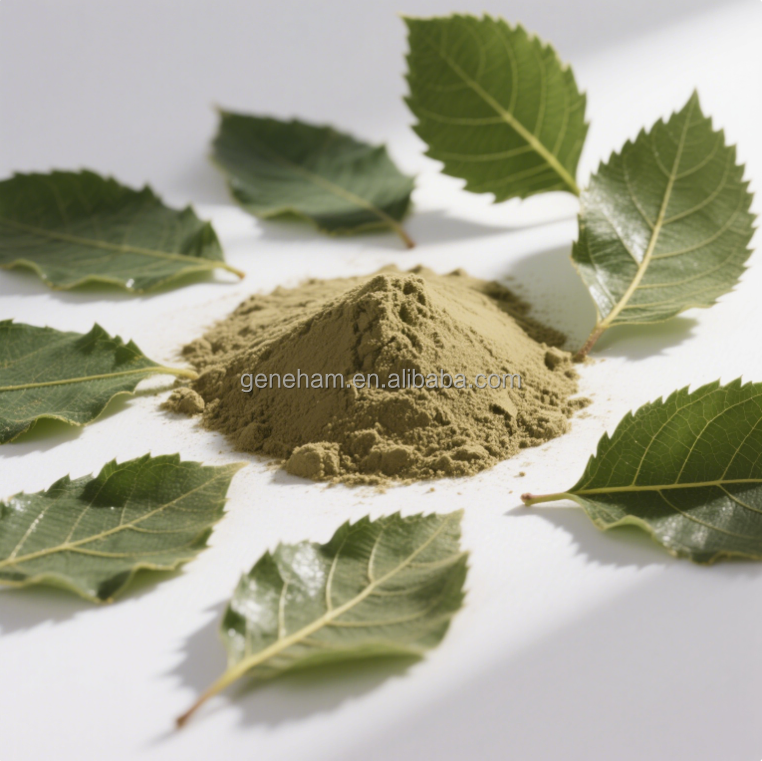 Natural Dnj Mulberry Leaf Extract 1-Deoxynojirimycin Food Grade Plant Extract